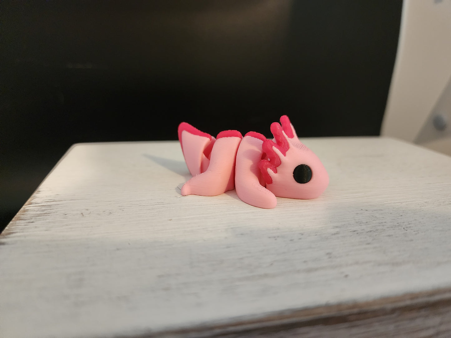 Axolotl